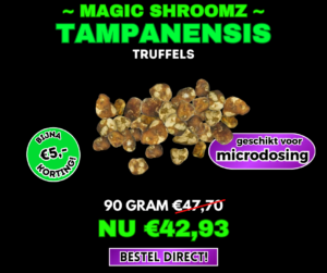 Tampanensis truffels kopen met 10% korting!